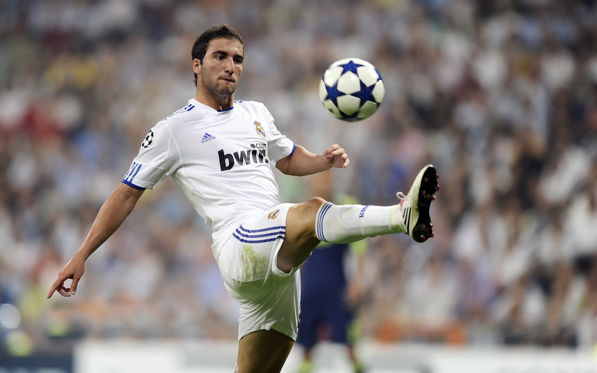 球员的日常：训练之外的趣味生活揭秘，职业球员的生活